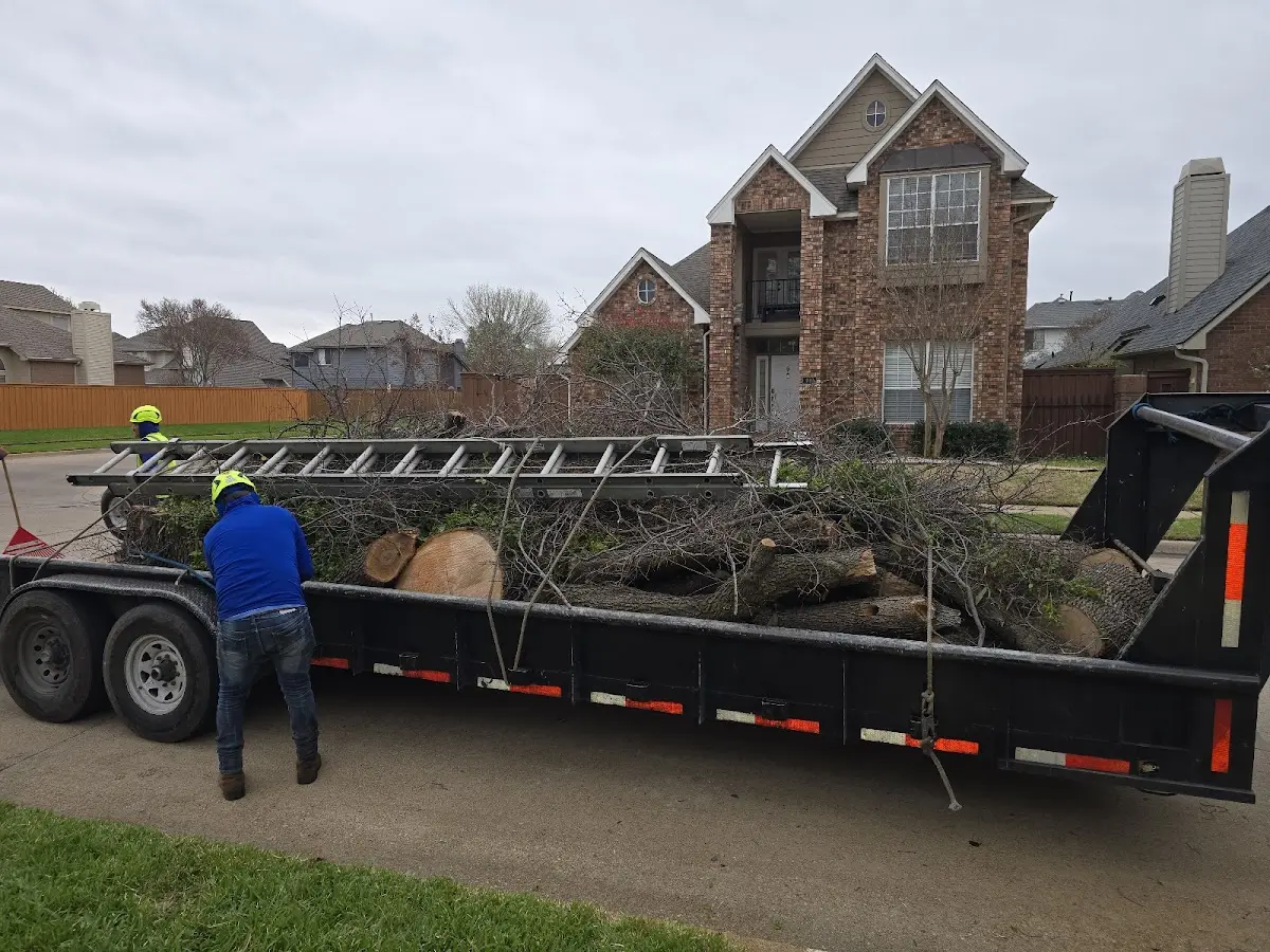 Expert Lot Clearing with proper safety equipment in Dillsboro